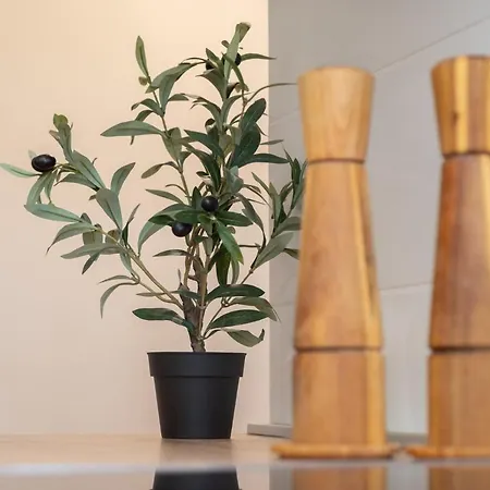 Apartamento City Center Studio For Humans & Pets - One Rijeka